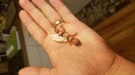20180805_131211.jpg