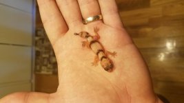 20180805_131127.jpg
