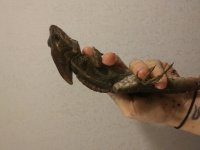 20181125_174355.jpg
