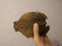 20181125_202205.jpg