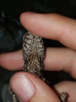 IMG_8036.jpg