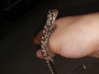 IMG_8035.jpg