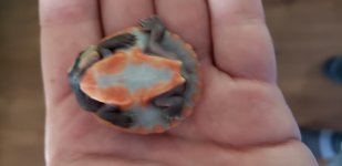 20180807_154848.jpg