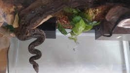 20180816_104423.jpg