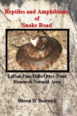 Snake Road.JPG