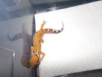 100_0169.jpg