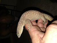 20180628_212251.jpg