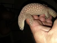 20180628_212247.jpg