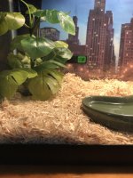 tank1.jpg