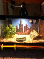 tank3.jpg