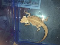IMG_0578.jpg