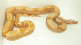 m6 15.jpg