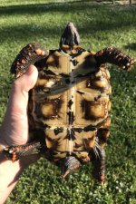 54EBAD1B-B416-4888-B93D-00425EC57B33.jpg