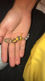Snapchat-404392189.jpg
