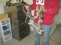bretts pets 010.jpg