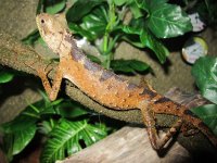 IMG_0921.jpg