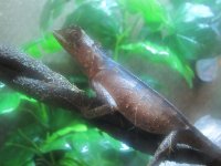IMG_0923.jpg