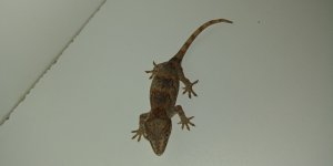 20181001_224533.jpg