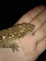 IMG_20180611_003701747.jpg