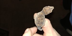 20181001_225508.jpg