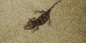 20181001_225643.jpg