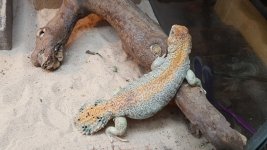 20160610_201039.jpg