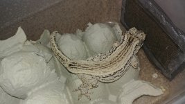 20180413_112236.jpg