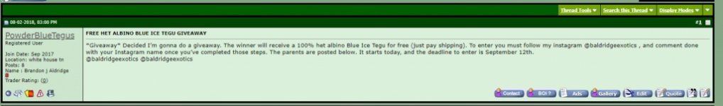 blueice.jpg