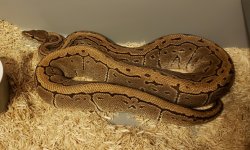 20181106_121215.jpg