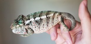 20180817_114815.jpg