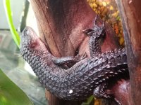 20180629_010739.jpg
