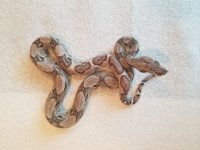 20180921_135359.jpg