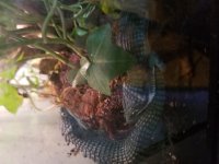 20181003_172905.jpg