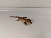 IMG_20181006_183448.jpg
