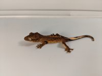 IMG_20181006_183552.jpg