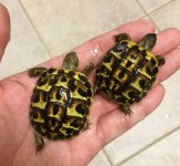 thumbnail_IMG_3467.jpg