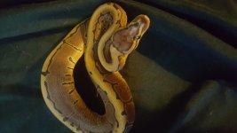 20180816_202911.jpg