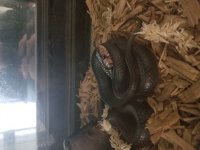 20180929_161748.jpg