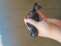 20180908_124142.jpg