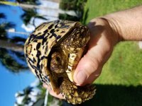 20181001_105916.jpg