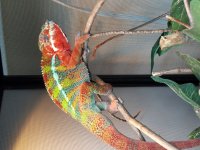20171123_092025.jpg
