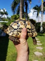 rsz_1rsz_20181001_105958.jpg