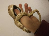 20181126_001214.jpg