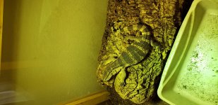 20180930_113505.jpg