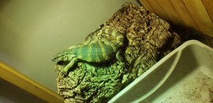 20180930_113449.jpg