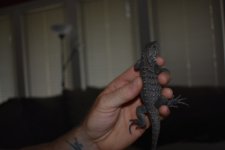 DSC_0075.jpg