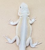 m5fauna.jpg
