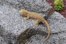 DSC_1638.jpg