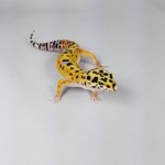 20181026_231259.jpg