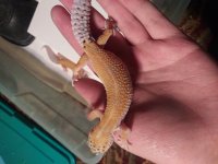 20181124_173051.jpg